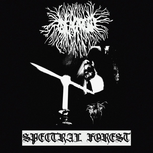 Afasaroth : Spectral Forest